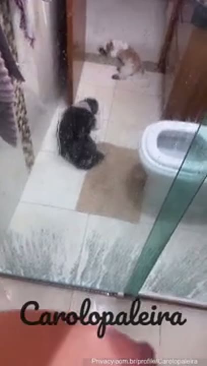 Carol Opaleira xvideos da gostosa brasileira masturbando a buceta molhada no banho