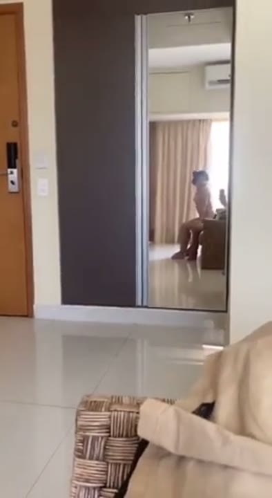 Novinha gostosa fazendo sexo com amigo do caralho grande