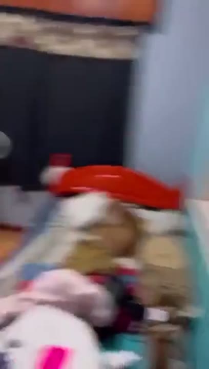 Privacy loirinha latina e seu namorado dotado